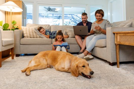 familia en internet con su perro descansando en el suelo