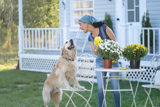 Mujer con flores prestando atención a un perro que salta