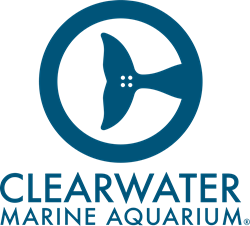 Clearwater Marine Aquarium